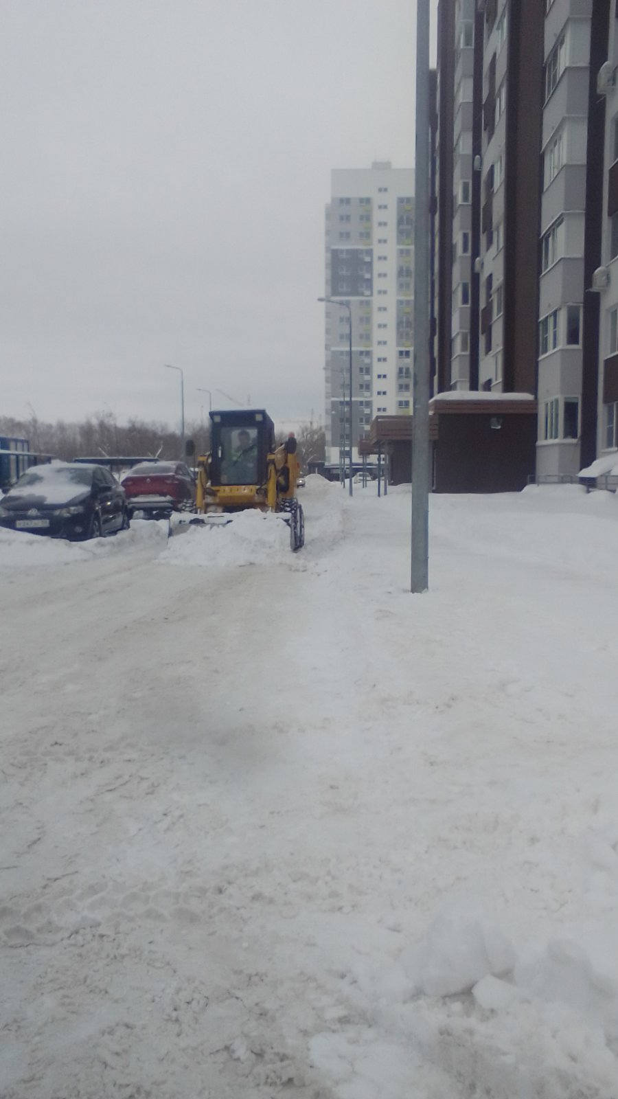 СК ТЕРРИТОРИЯ ЖИЗНИ III ЕЖЕНЕДЕЛЬНЫЙ ОТЧЕТ (январь)